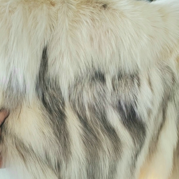 Exquisite Marble Fox Fur Coat sz Med/Lg - Picture 9 of 17